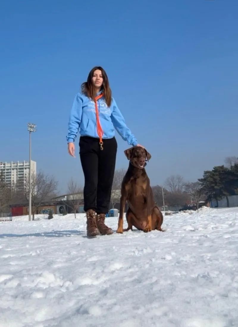 Private Walks Toronto