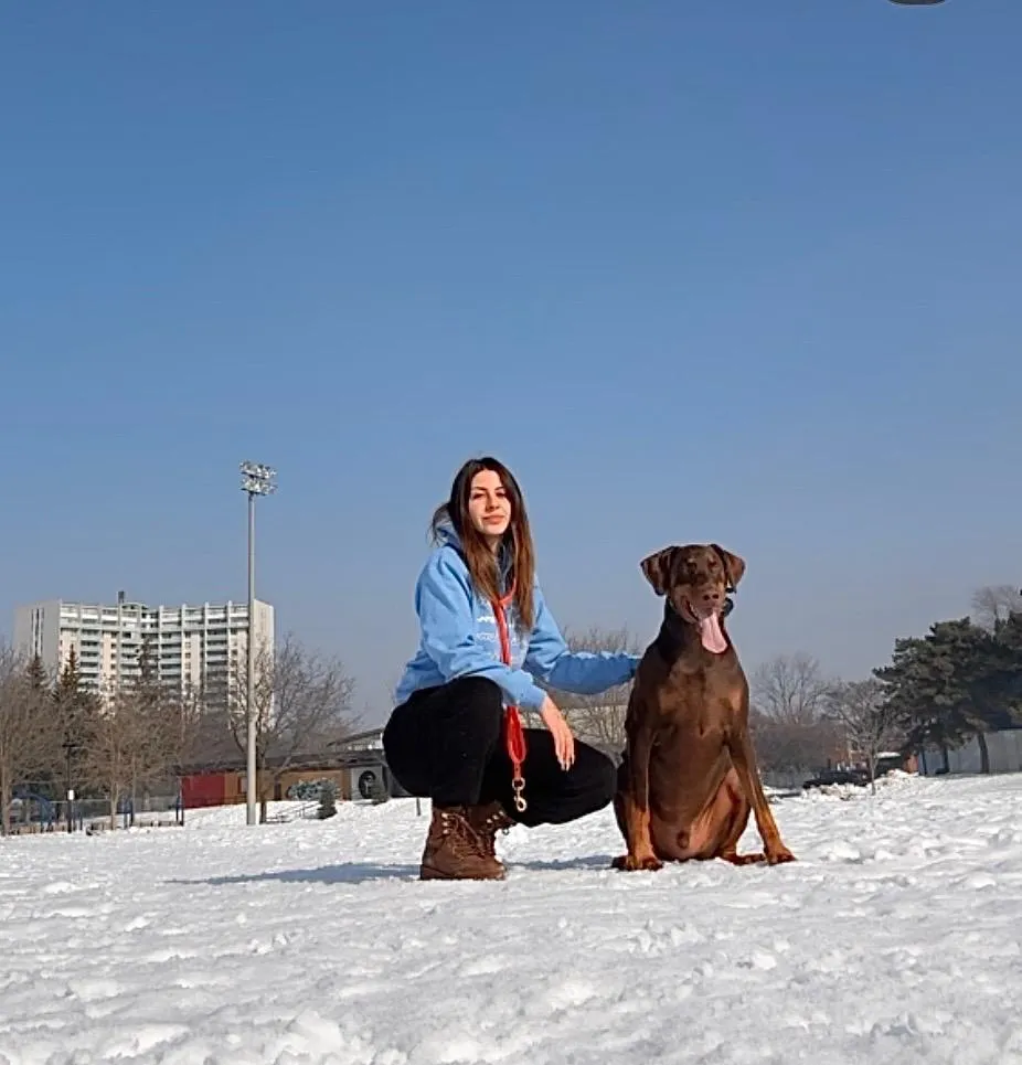 Dog Walking & Pet Sitting Mississauga