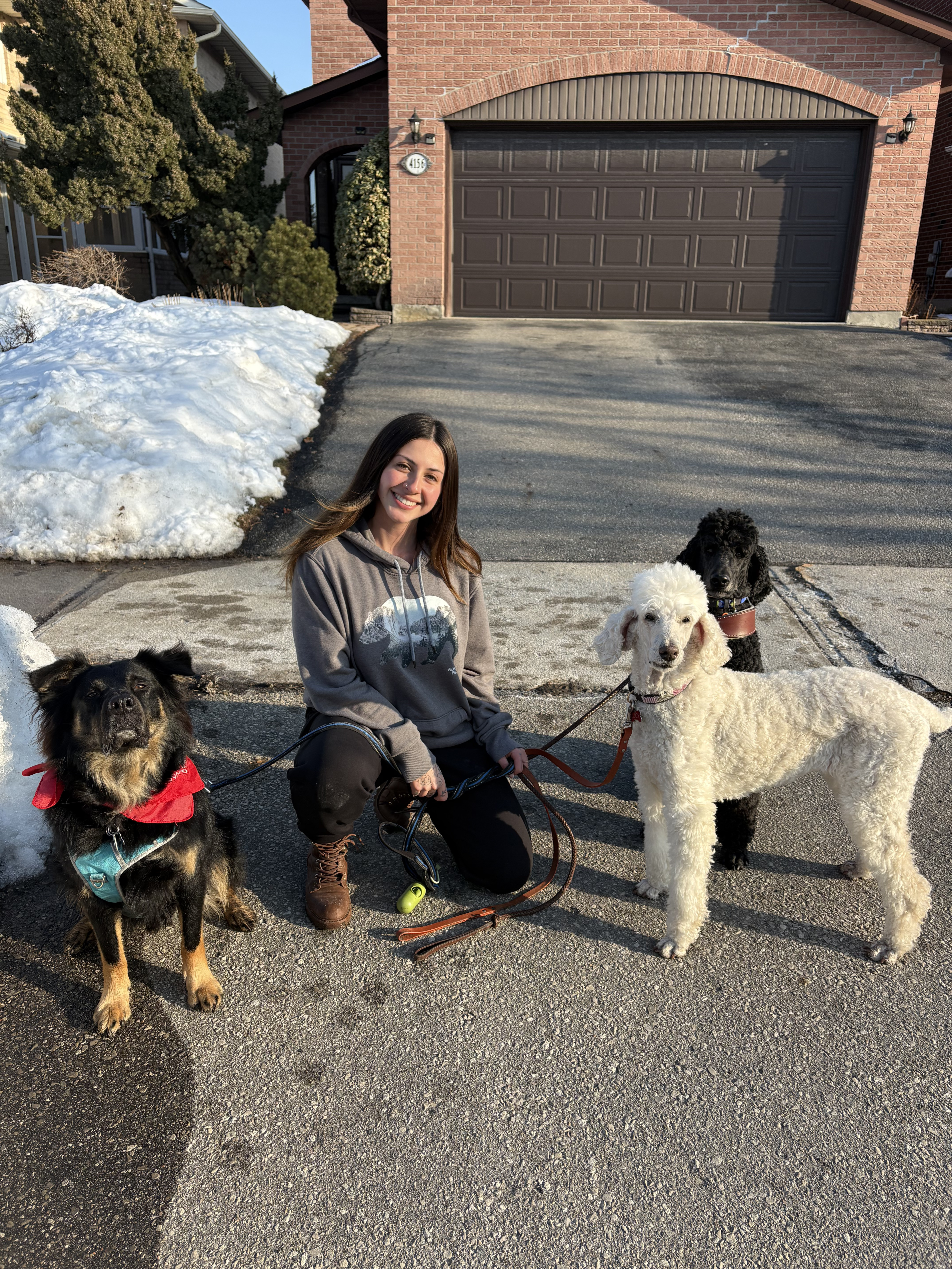 In-Home Check-Ins Mississauga