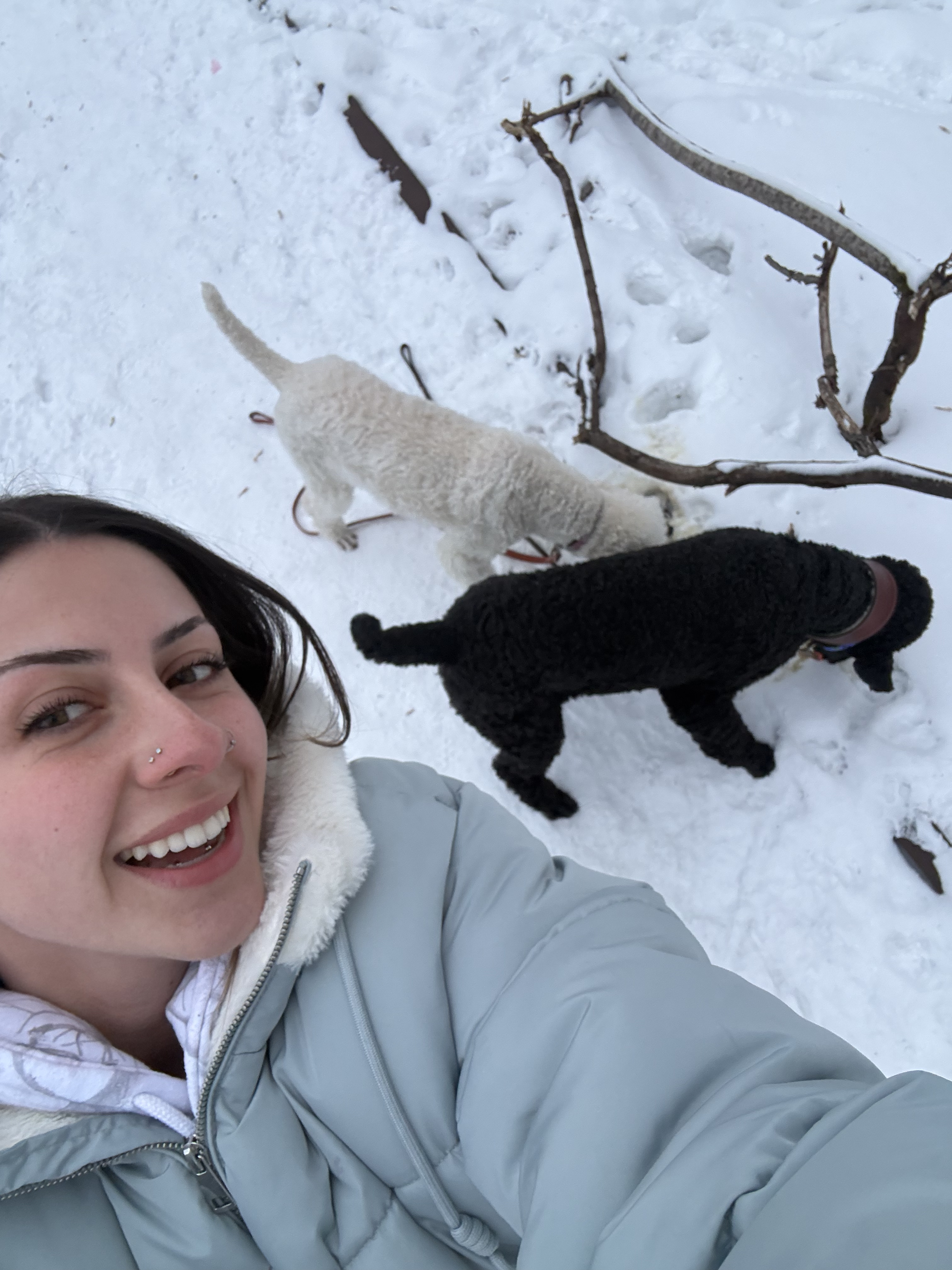 Private Walks Mississauga