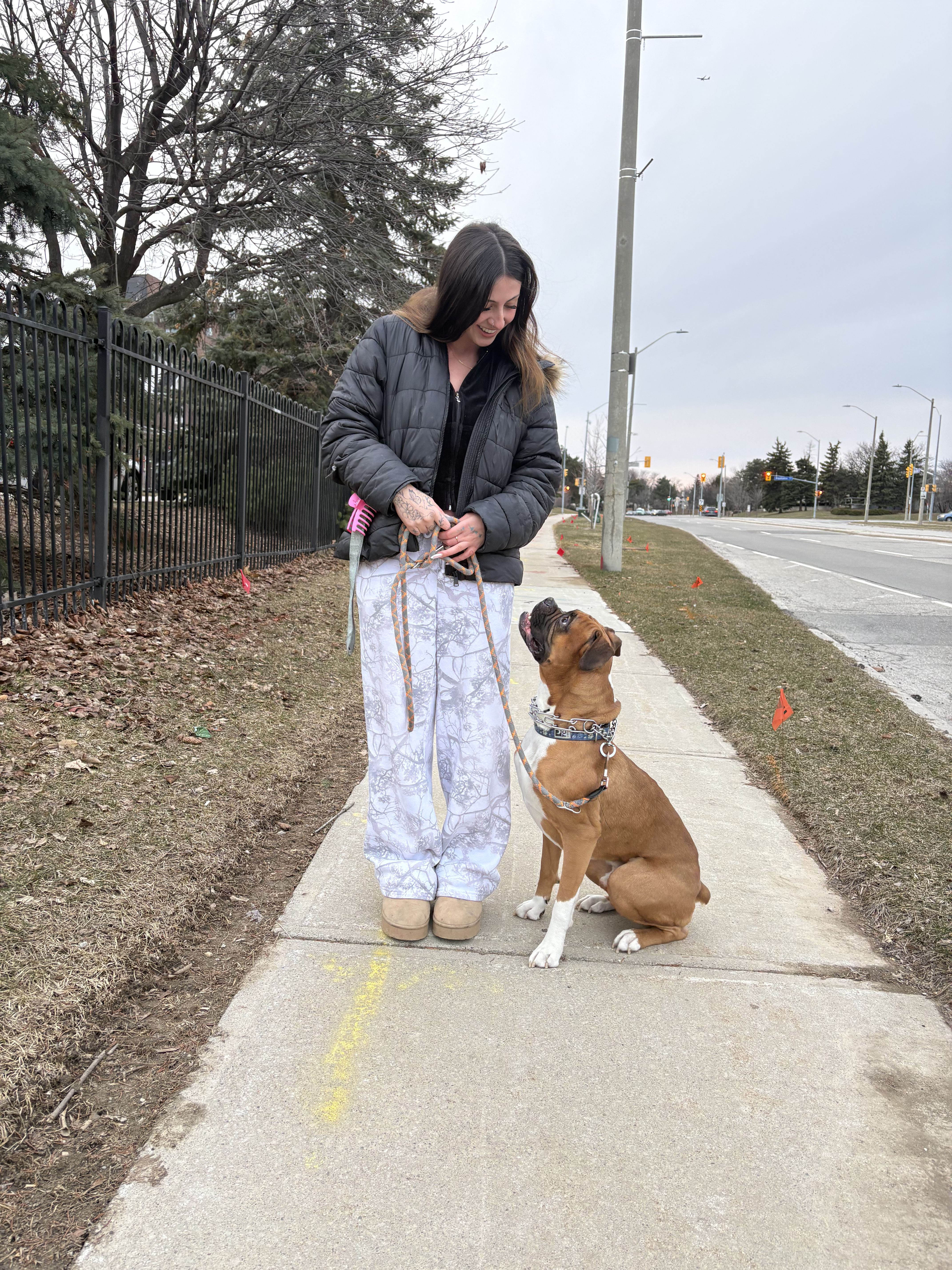 Overnight Pet Sitting Toronto