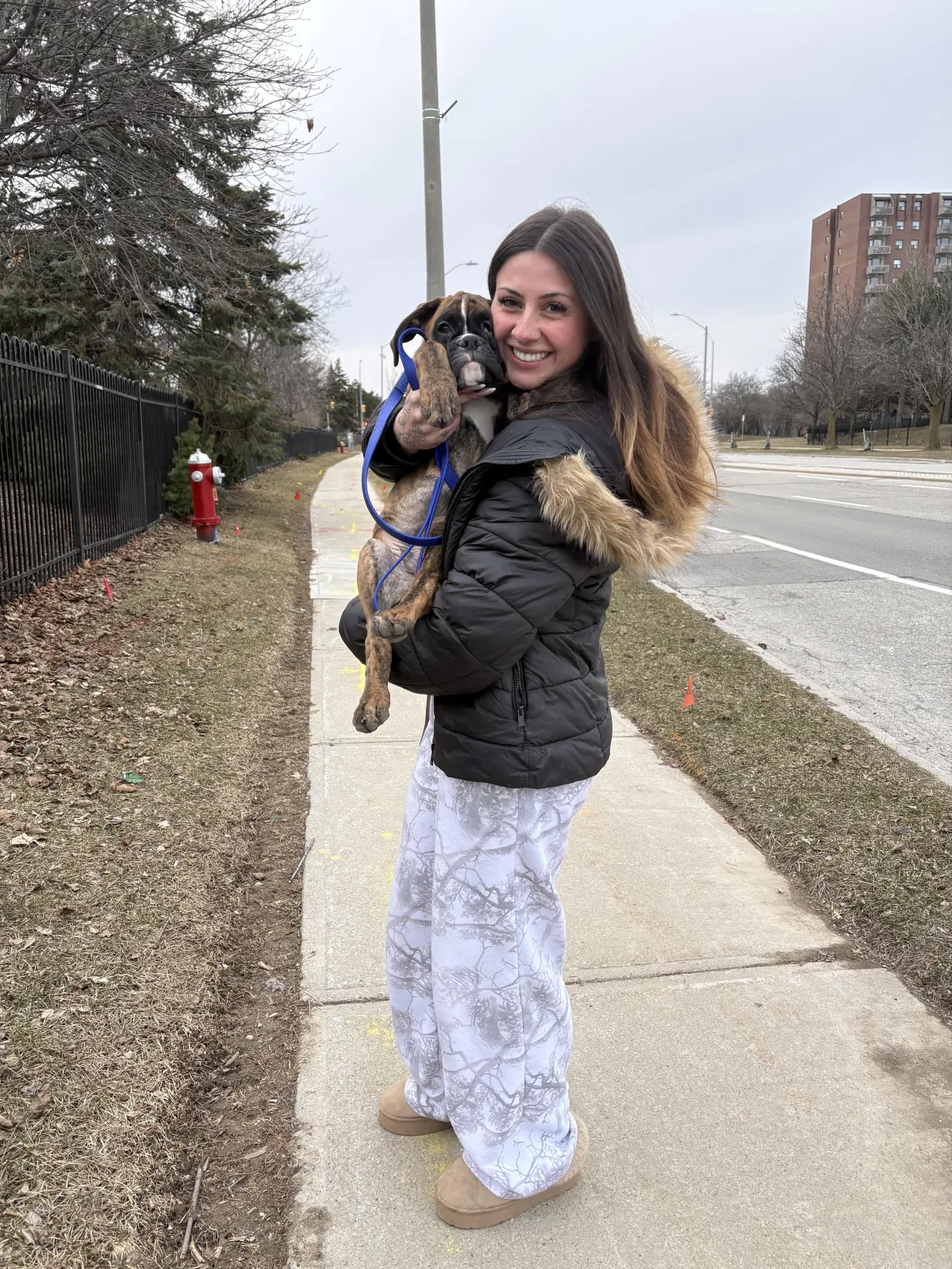 Overnight Pet Sitting Mississauga