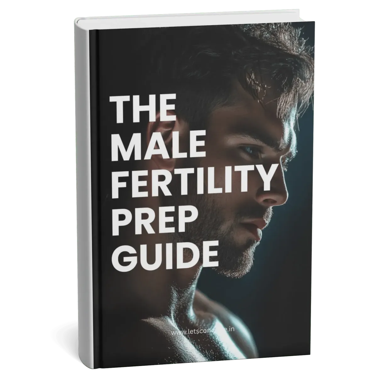 Male Fertility Prep Guide: Improve Sperm Count & Quality | Lets Conceive
