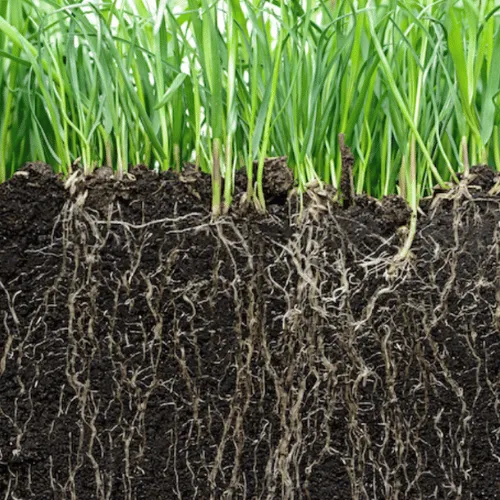 Liquid Aeration Service | Eco Lawn Utah 