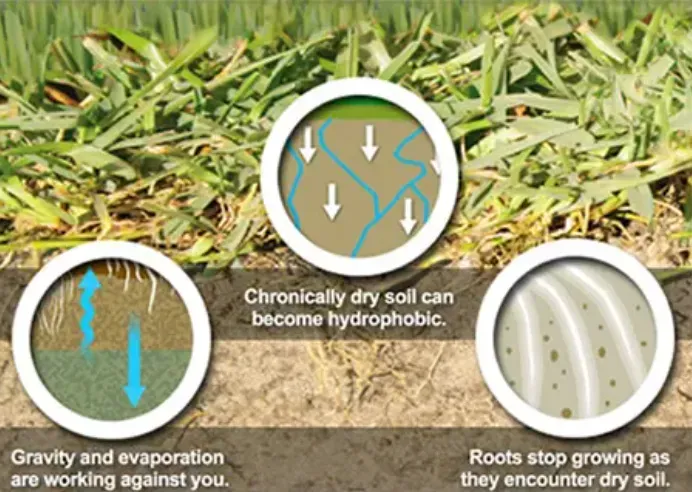 Moisture Management Service | Eco Lawn Utah 