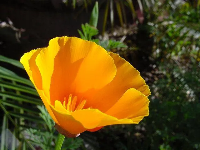 https://storage.googleapis.com/msgsndr/KofiVSijlZrnJdE4SCCI/media/67c6f2aee41ece79cdf58504.jpeg