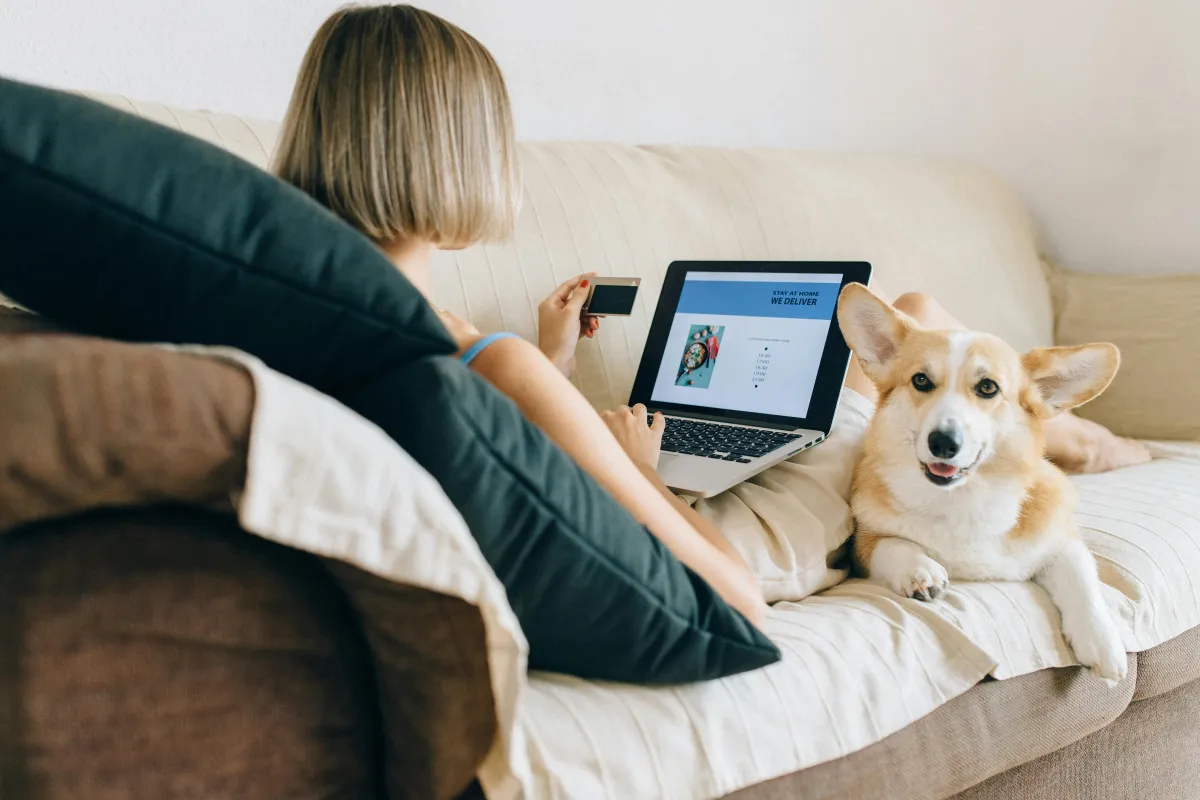 Boost Your E-Commerce Success:Grow Your Brand & Maximize ROI
