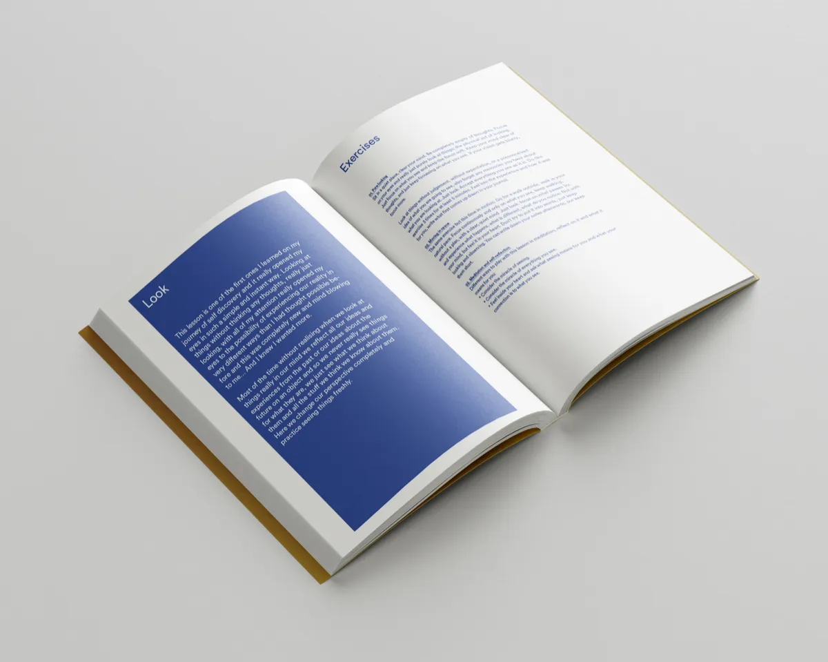 Exercise pages from chapter one "Look" of the Freedom Drawings e-book