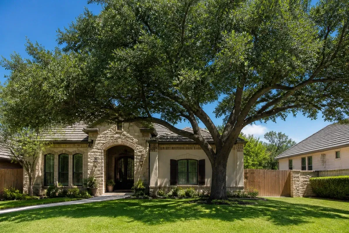 San Antonio Tree Trimming