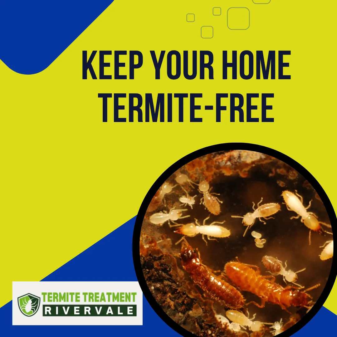 identify termite fast