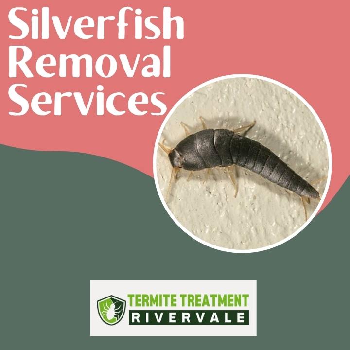 Silverfish removal for protecting books and paper from damage.