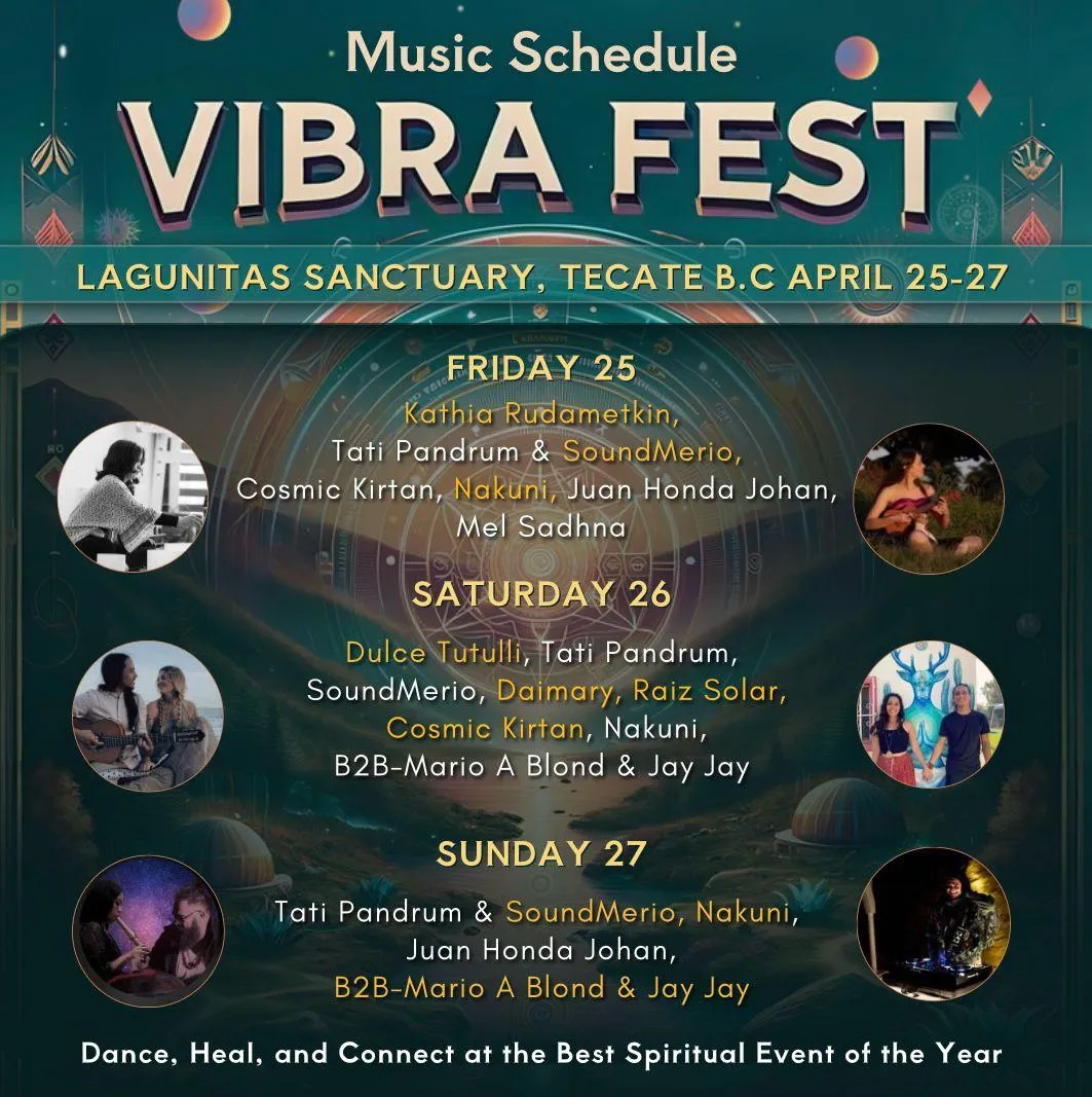 body of water surrounded by trees