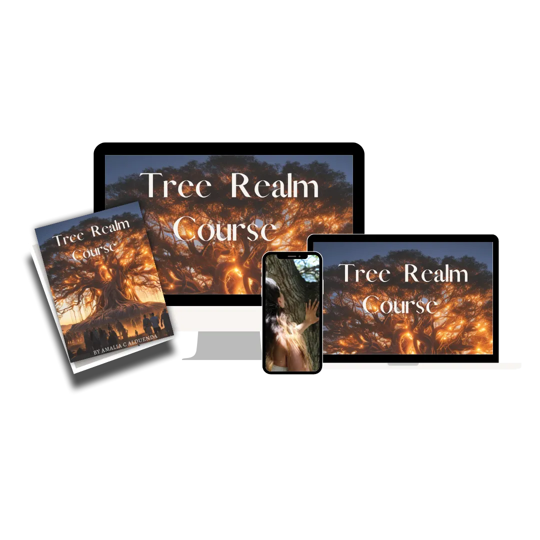 body of water surrounded by trees