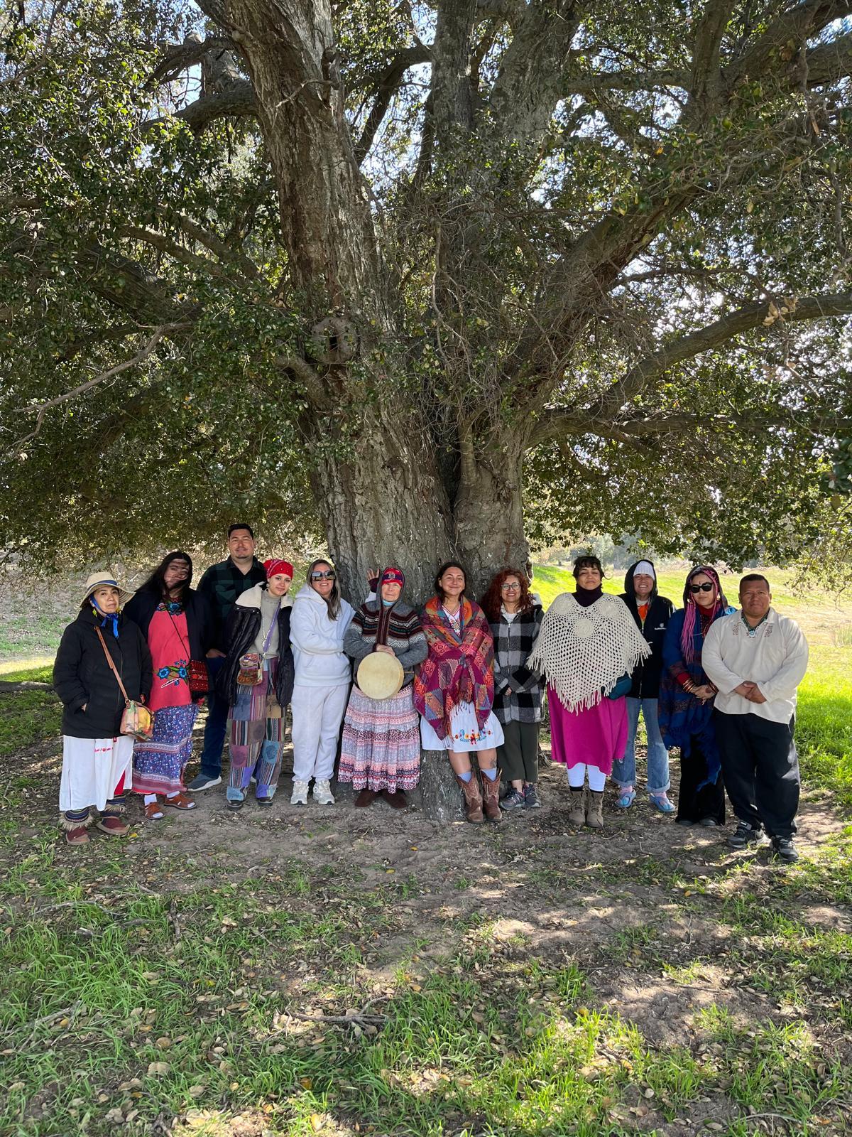 shallow focus photography of clear drinking glass on top of brown tray