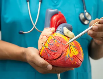 Appointments & Fees Cardiovascular & Metabolic Health