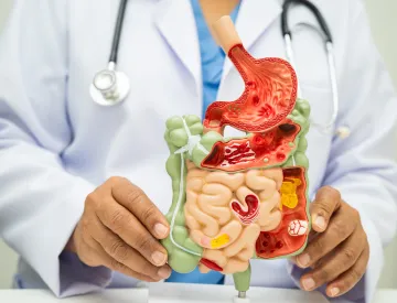 Appointments & Fees Digestive Health