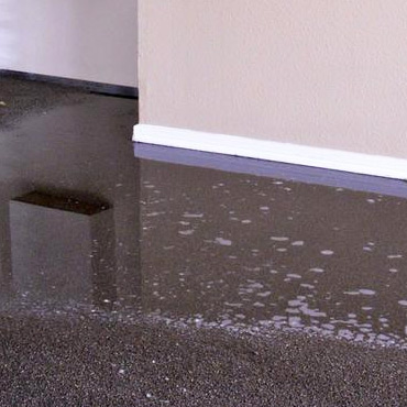 flooded carpet Dallas tx