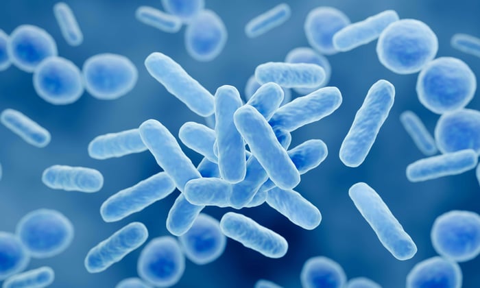 The Gut-Health Connection: Why Digestion Impacts Your Entire Body