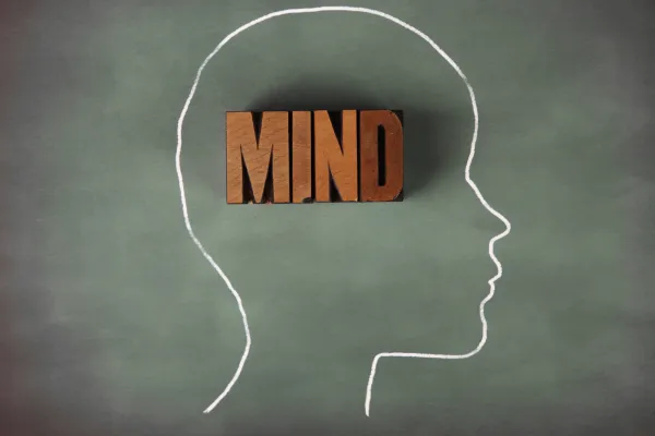 What Are The 16 Habits Of Mind? Understanding The Strategy For Effective Thinking