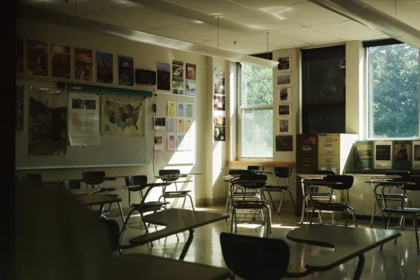 Biophilic Classrooms: The Ultimate Guide To Incorporating Plants In Your Classes