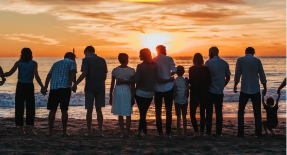 Our campaigns turn website visitors and social followers into real, qualified leads for your business—automatically.