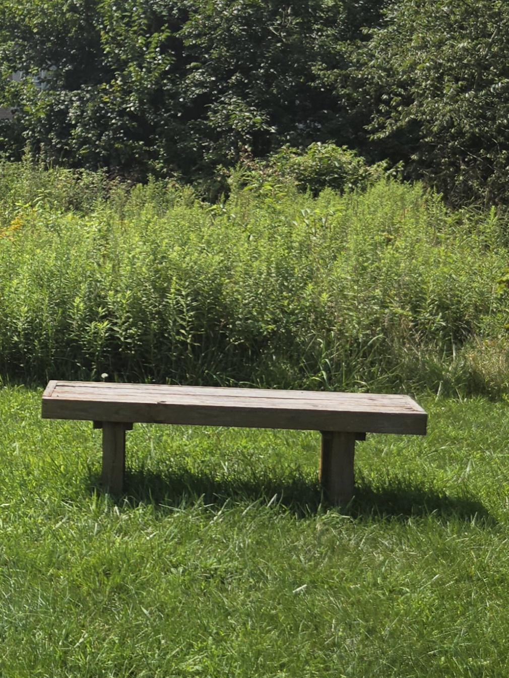 An empty wooden bench in the butterfly garden at the Dr. James Still Historic Office Site.