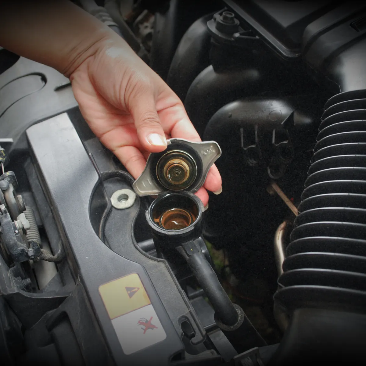 Mechanic inspecting car engine for transmission and drivetrain service
