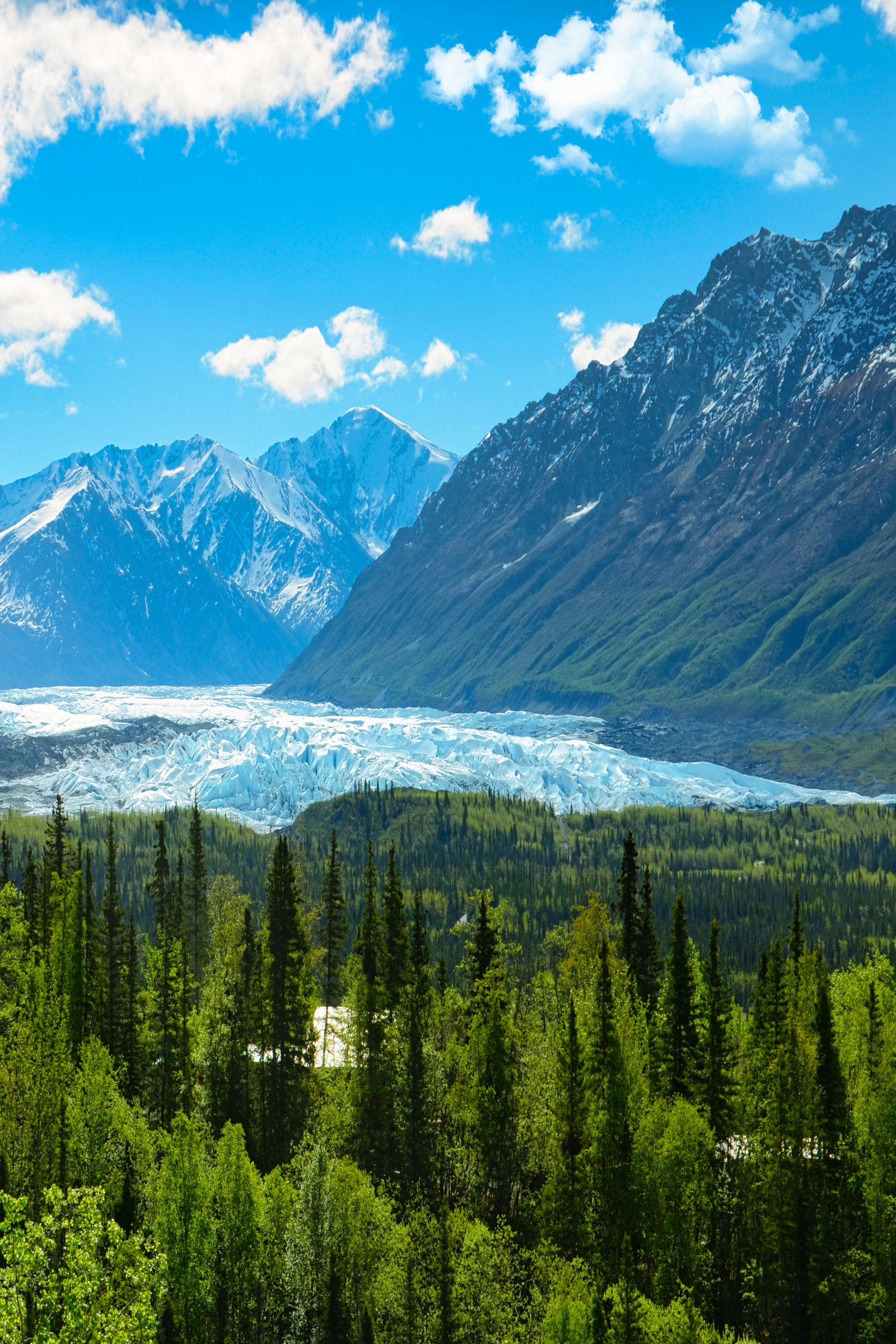 Scenic Alaskan landscape with wildlife inspiring mindfulness and connection with nature.
