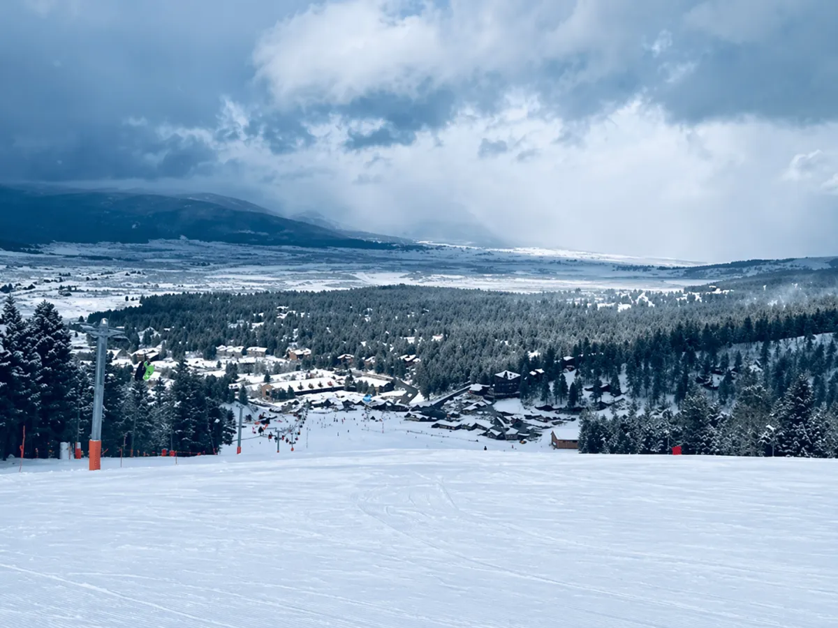 {{ custom_values.service_1 }} in {{custom_values.biz_area_1})