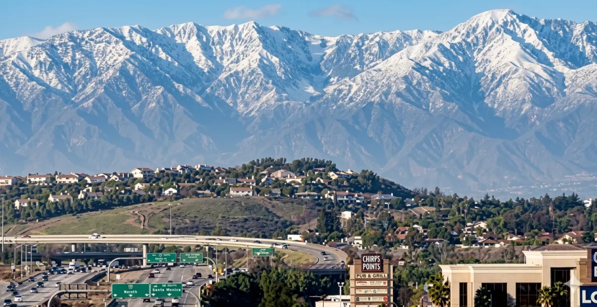 {{ custom_values.service_1 }} in {{custom_values.biz_area_1})