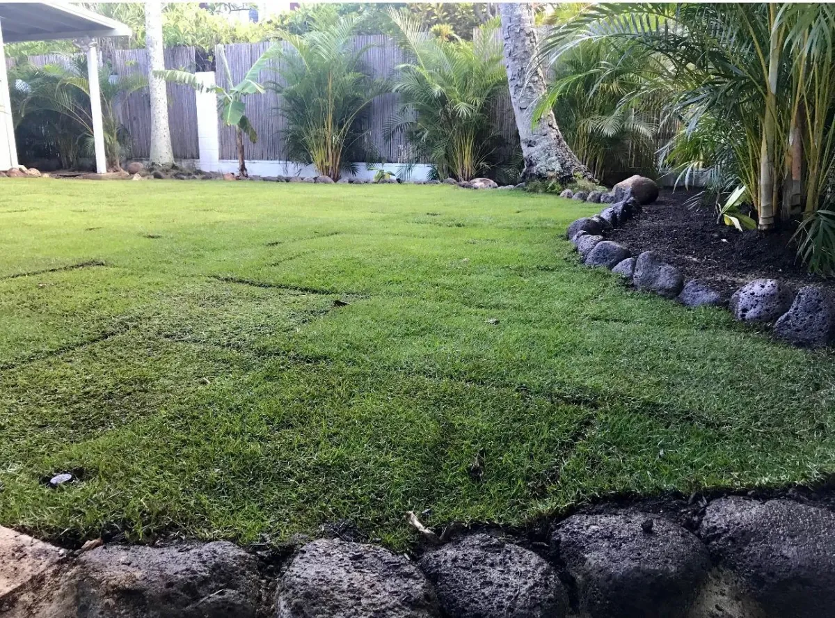 Tropical Landscapes Hawaii Decorative Concrete Borders