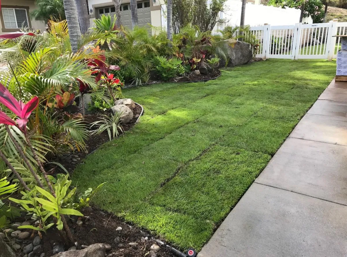 Tropical Landscapes Hawaii Expert Landscape Design