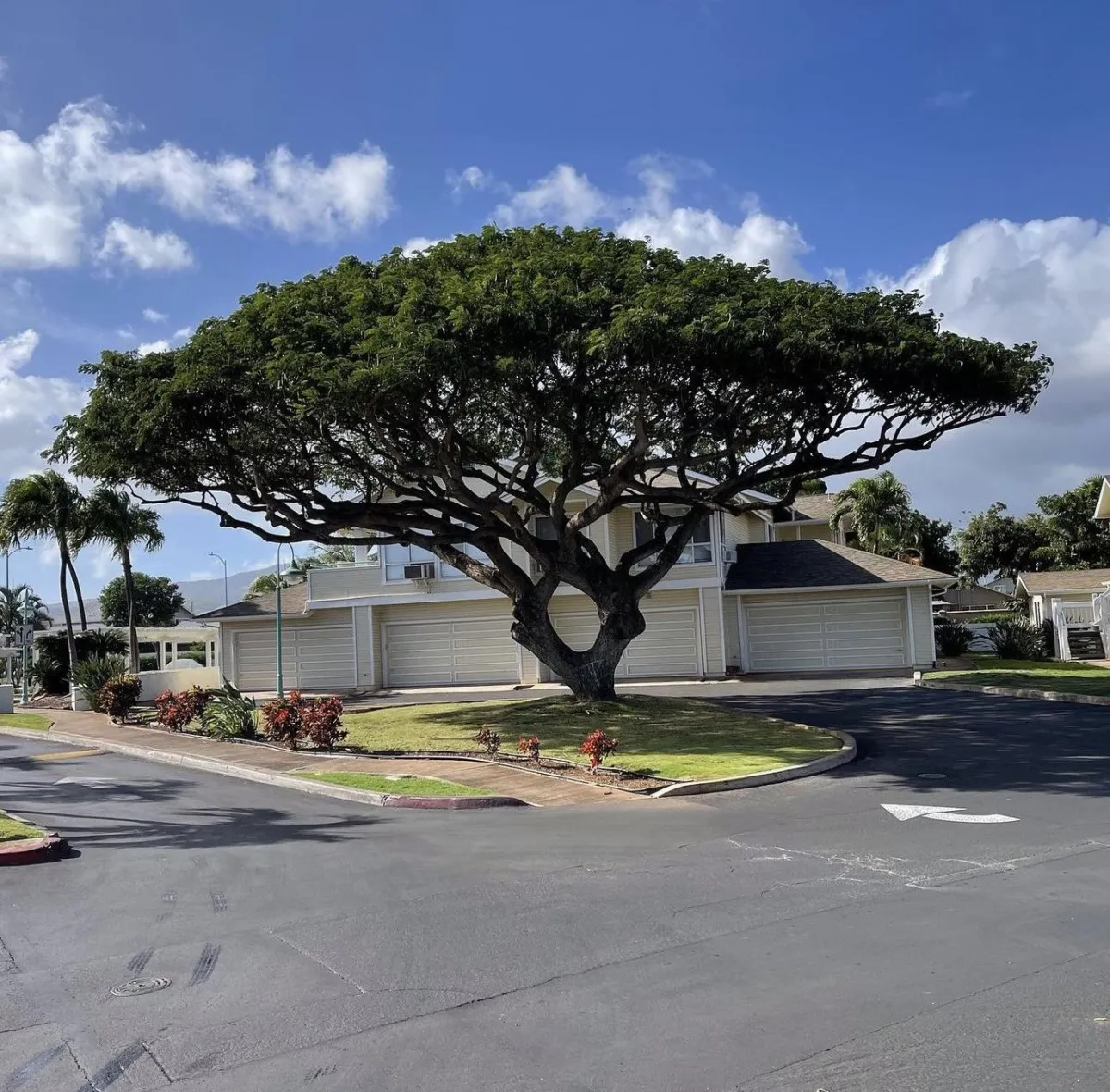 Tropical Landscapes Hawaii Concrete Service Driveway Stamping