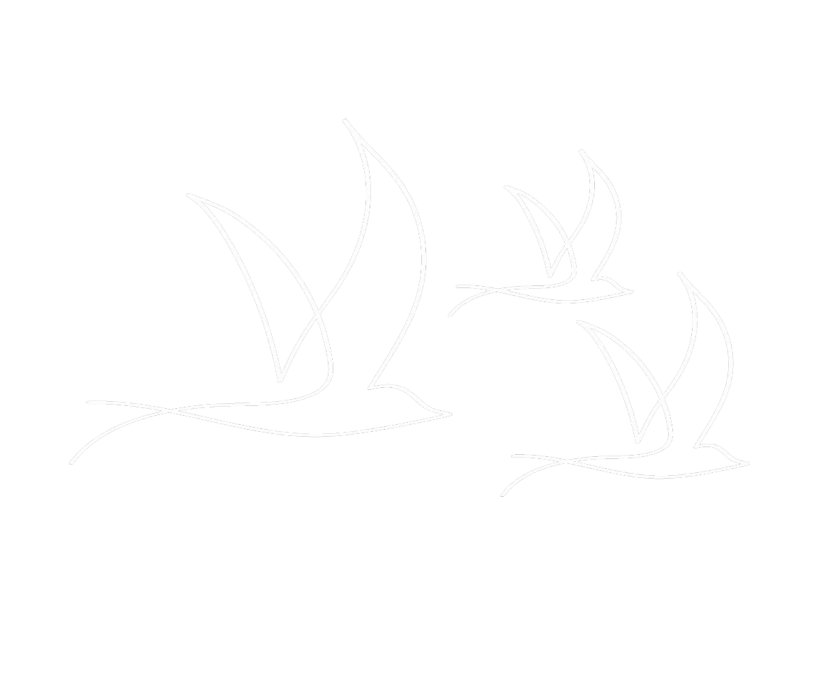 Brand icon, three outlined white birds - Empower Rise Coaching
