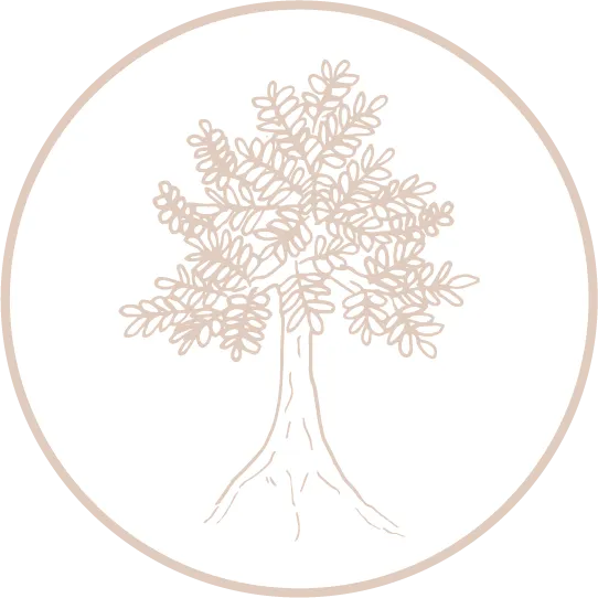 Pale pink line drawing of a tree with roots representing courage to change and grow
