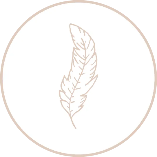 Pale pink Line drawing of a feather representing emotional freedom