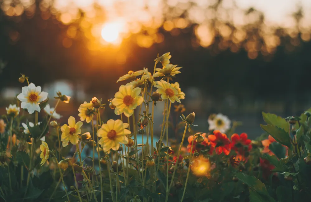 Perimenopause - a taboo topic?