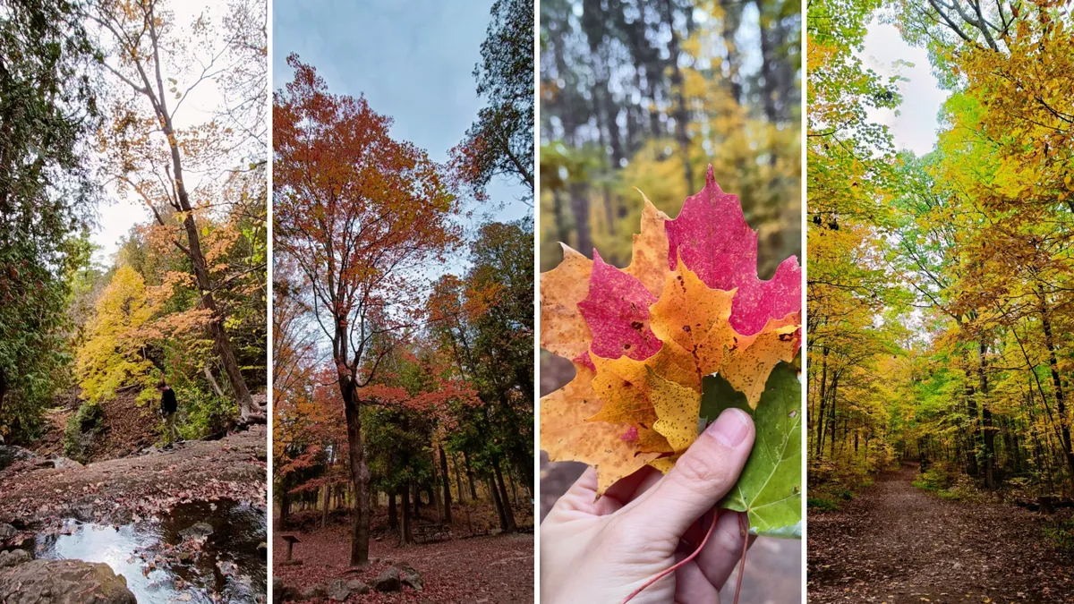 A collage of autumn scenes showing colorful fall foliage, a forest trail, a rocky stream, and a hand holding vibrant red, orange, yellow, and green leaves.
