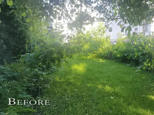Tree Planting & Pruning Hudson, NY