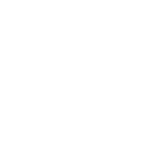Auto Insurance Icon