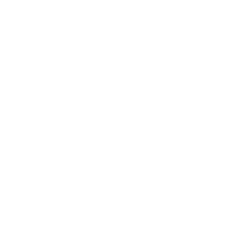 Life Insurance Icon