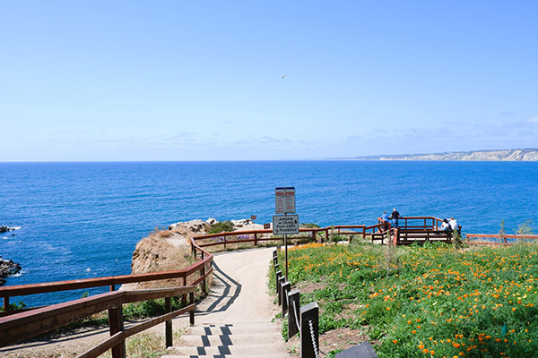 Explore La Jolla: San Diego's Coastal Retreat
