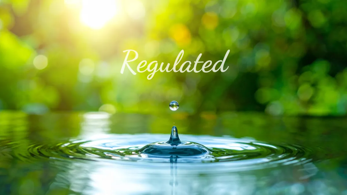 Regulated course - 6-week nervous system and emotional regulation course by Yoga Health and Wellness