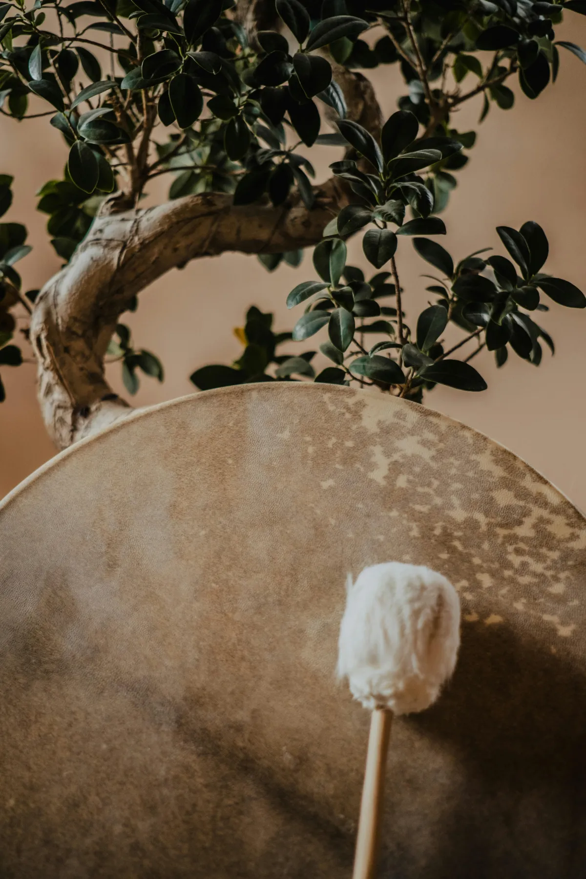 What Actually Happens in a Shamanic Healing Session?