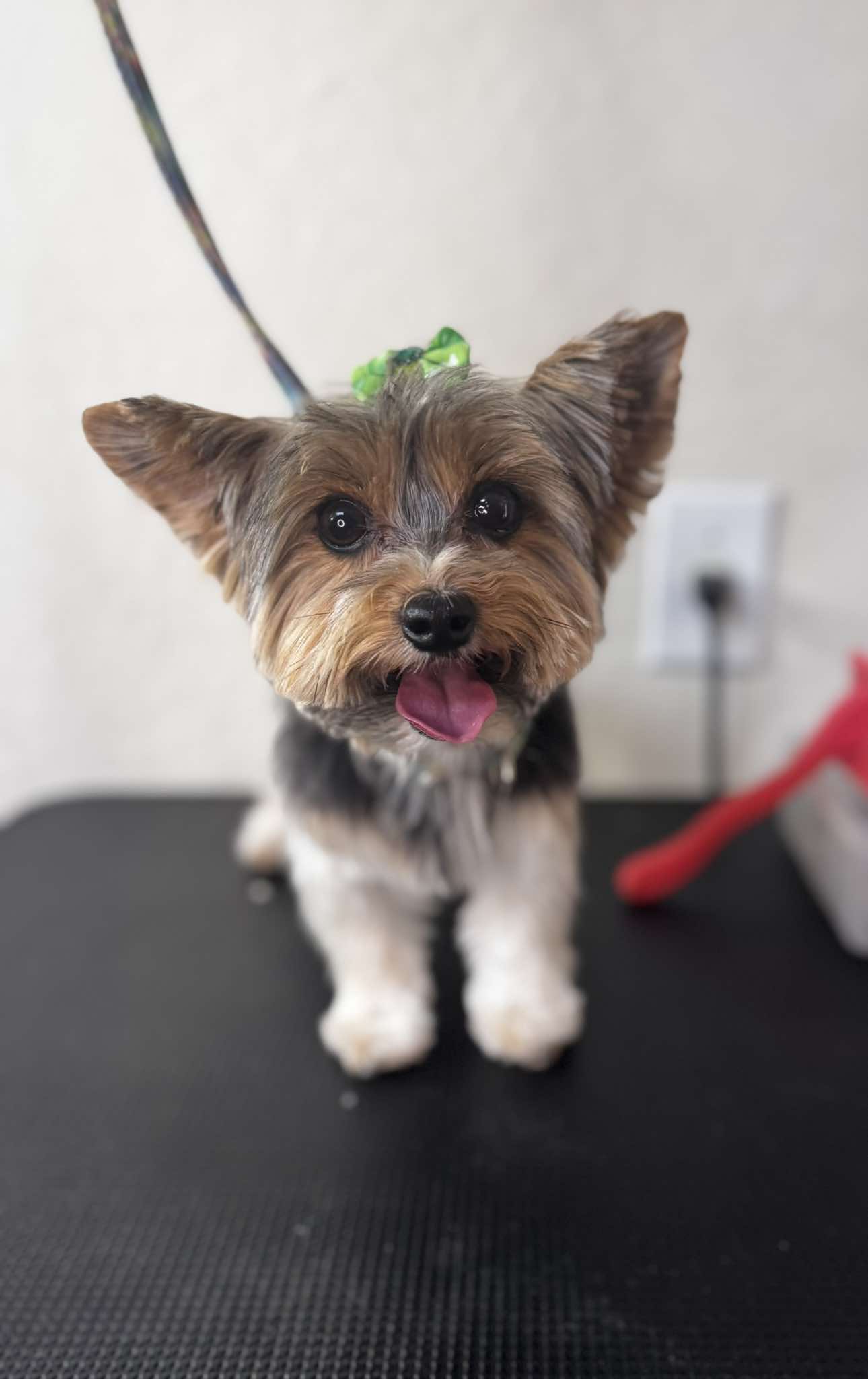 Bath Tub Illustration