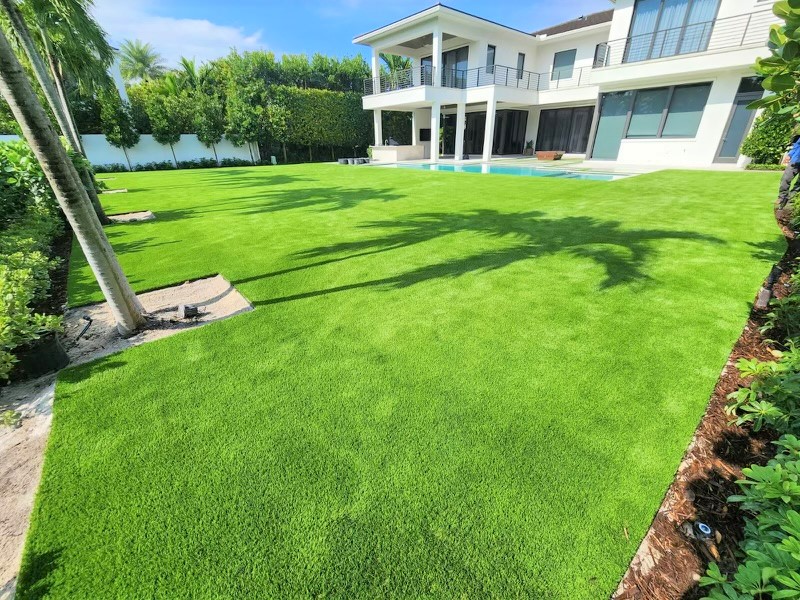 green grass with water droplets