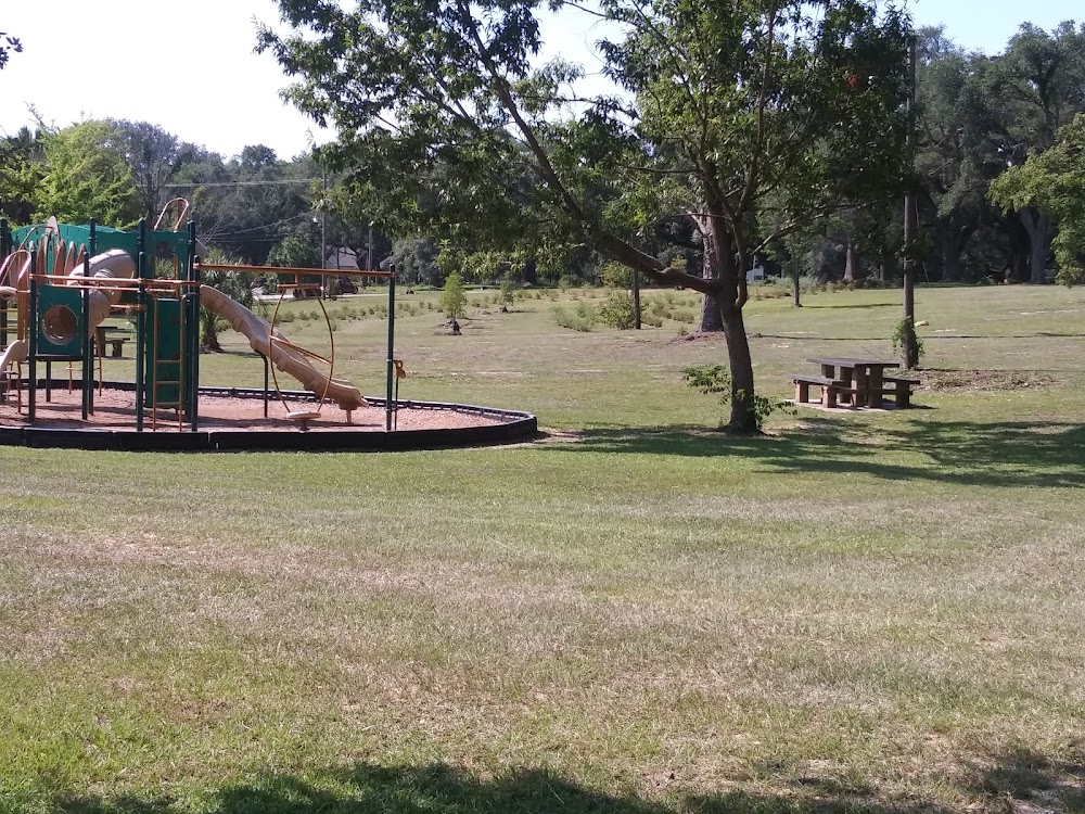 🌳 Discover Tift Park in Perry, GA – A Local Favorite for Outdoor Fun and Relaxation | Perry, Georgia