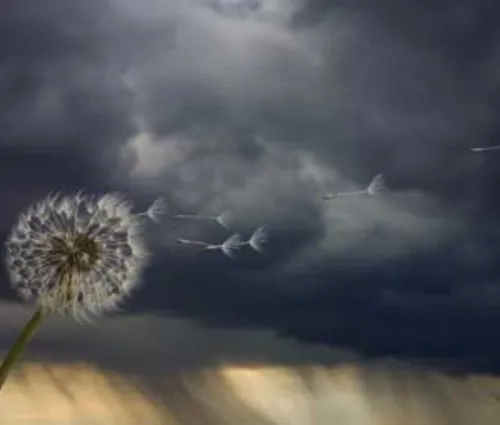 prepare for hail season Missouri