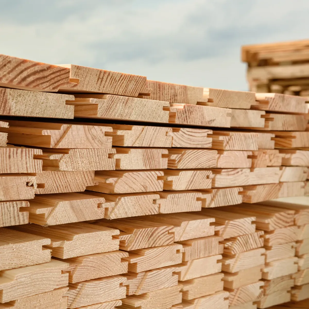 Expertos en Puertas y Componentes de Madera en Pérez Zeledón