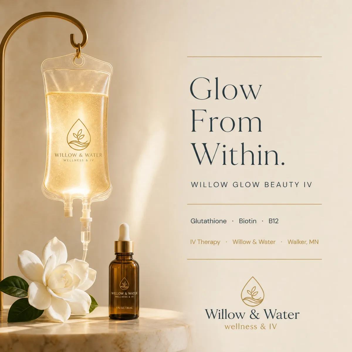 Willow Water Glutathione Biotin Walker MN Bemidji Near Me